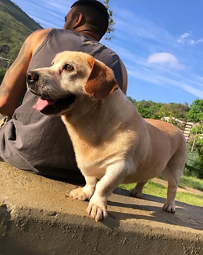 Foto que Austro compartilhou em um grupo de aniamais no Facebook.