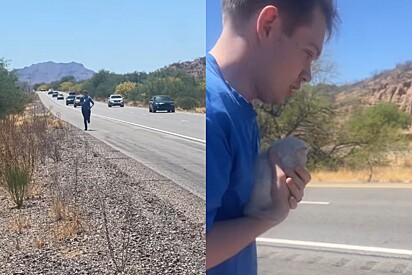 Motorista pisa no freio e corre buscar pequena bola branca encontrada sozinha em rodovia.