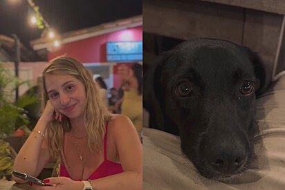 Rapaz sai para jantar com namorada - quando ele olha para baixo, tinha mais alguém querendo participar.