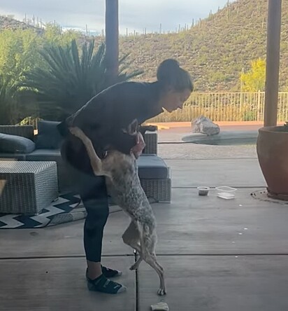 Meredith notou que ela era uma cachorrinha que precisava de ajuda.