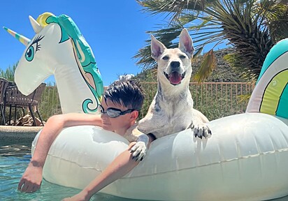 Luna adora entrar na piscina com as crianças.