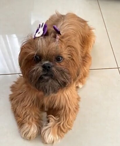 Kiara é muito tranquilinha... quando quer.