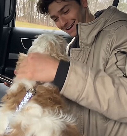 A cachorrinha foi adotada de um abrigo de animais.