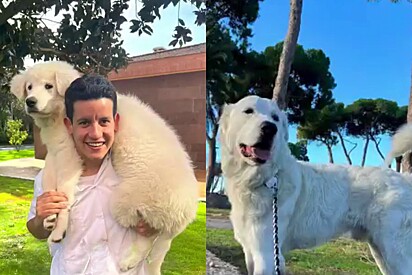 Theo está tentando ganhar fama nas redes sociais.