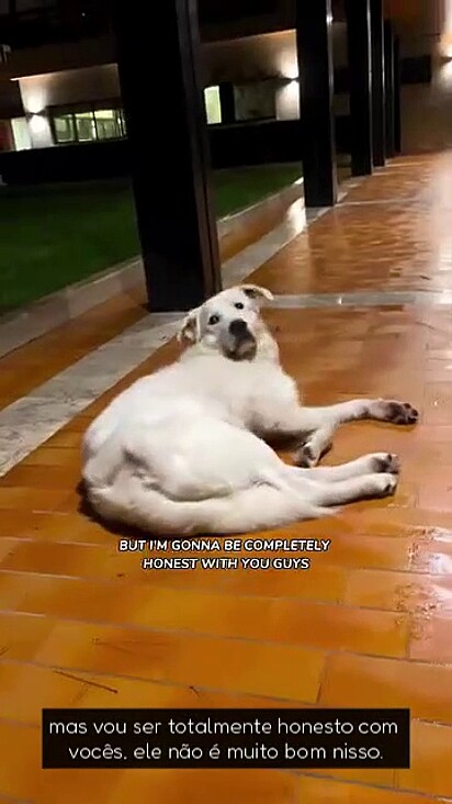 Theo pode ser encontrado dormindo em qualquer lugar.