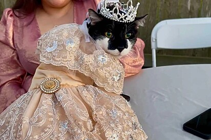 “Sempre sonhei com esse momento” - Gata completa 15 anos e ganha festa de debutante.