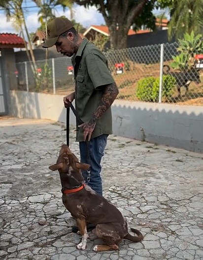 A Neurodog é uma escola especializada em reabilitar cães com problemas comportamentais.