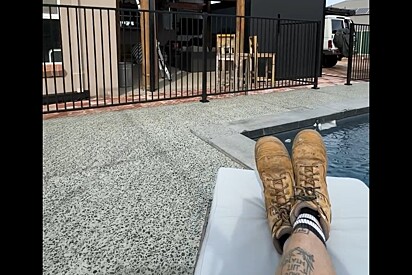 Homem curtia o dia sozinho em casa quando de repente chegaram 2 convidados inesperados para usar sua piscina.