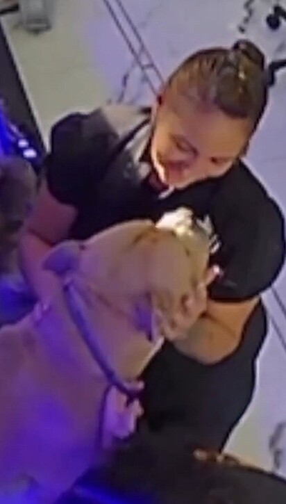 Durante o banho ele troca carinho com a funcionária.