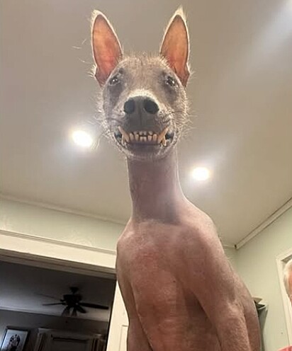 Eu acordei com aquele sorrisinho dela nos meus pés.