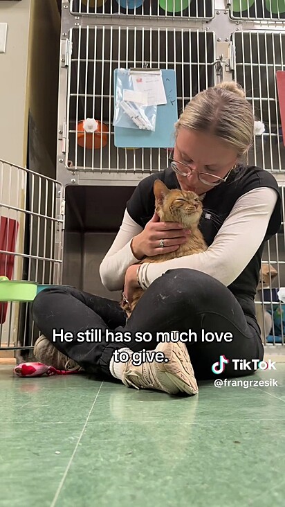 O felino laranja era muito amado e infelizmente seu tutor teve que partir.