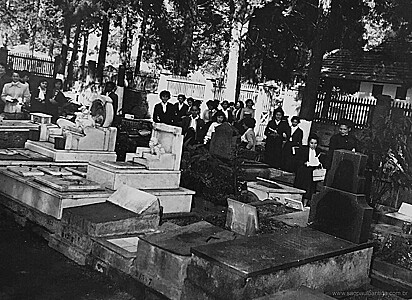 O cemitério de animais em 1955.