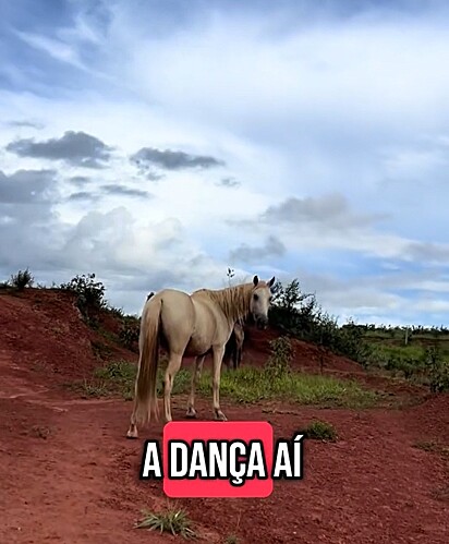 Dança olhando para ver onde Lara estava.