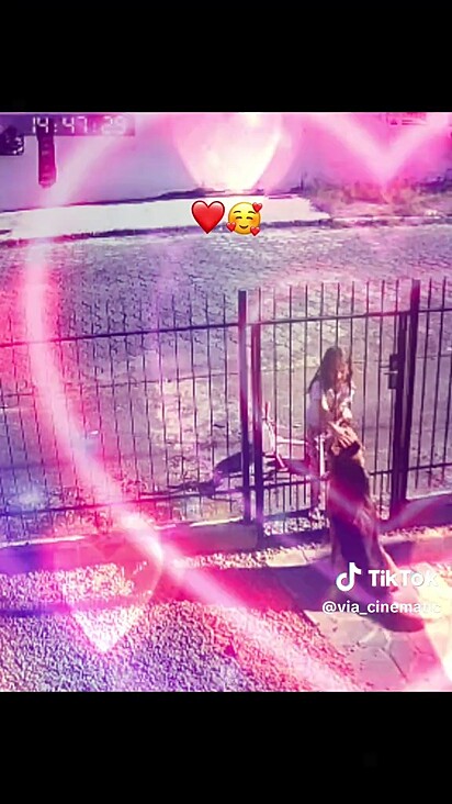 A menina adora fazer carinho em Otto.