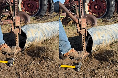 Agricultor vê algo se mexendo na tubulação, acha rostinho fofo preso — mas o resgate tem um obstáculo.