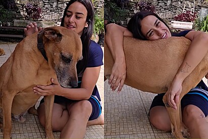 Cão caramelo gigante de mais de 50 kg conquista corações com sua doçura.