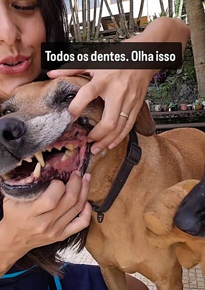 Sorrisão do Billy.