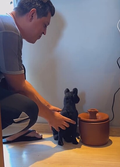 O primeiro caso de gato reborn do Brasil.