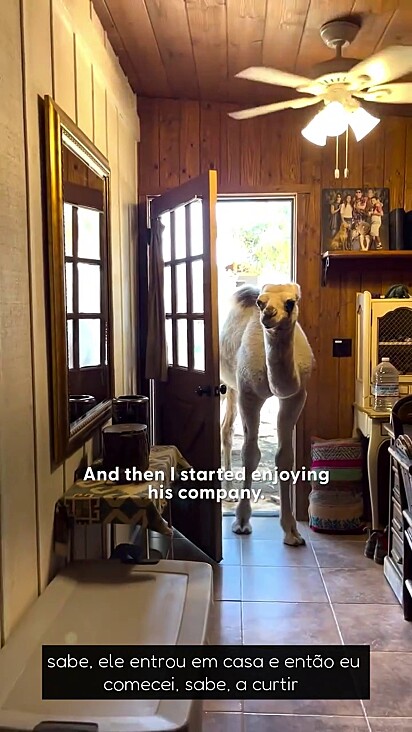 Albert não consegue andar dentro da casa sem derrubar coisas.