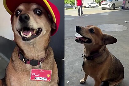 Patrício virou mascote oficial e garoto-propaganda do estabelecimento.