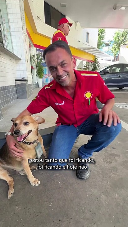 O cão foi adotado pelos funcionários.