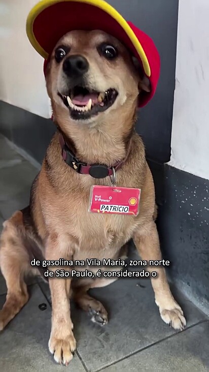 Ele tem crachá e é respeitado por colaboradores e clientes.