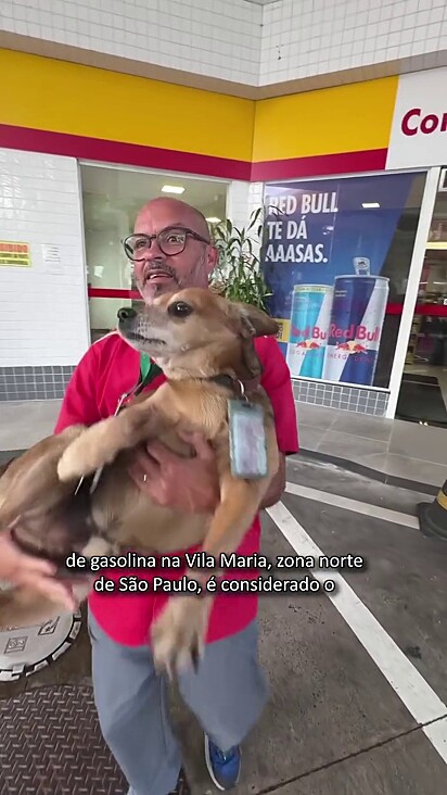 Ele tem sua cama em um local seguro do posto.