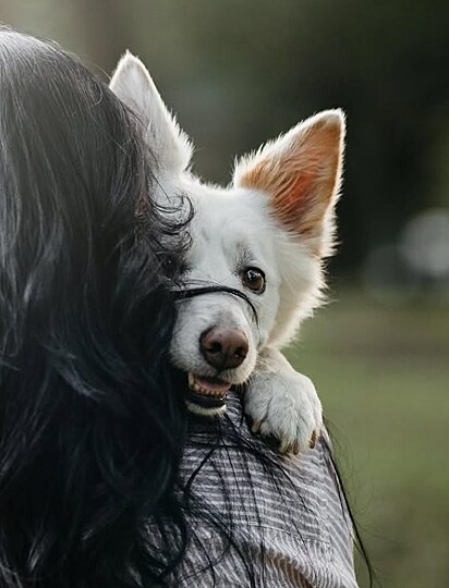 Brooke e Cedar, a border collie.