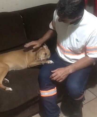 A Mel é apaixonada pelo seu tutor.