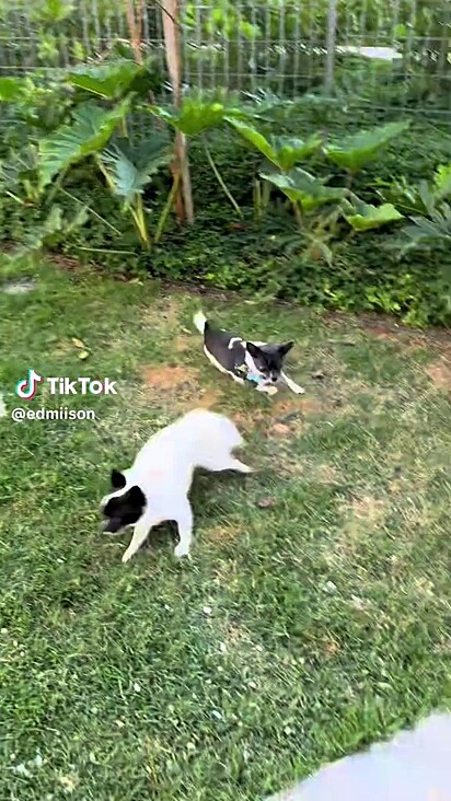 Os dois são bem próximos.