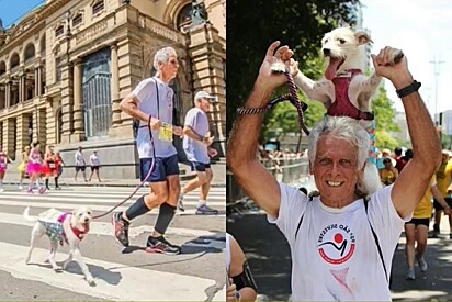 Conheça Ziggy, a cachorrinha que já correu 5 São Silvestres ao lado de seu tutor.