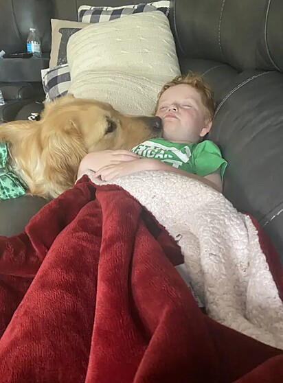 Treinado, o golden retriever chamado Yammy é o suporte - e melhor amigo - de Patrick.