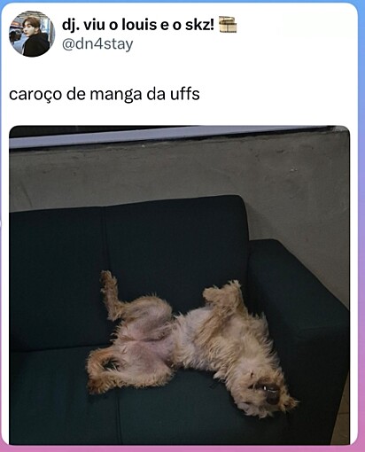 Fiapo de manga mascote da UFFS.