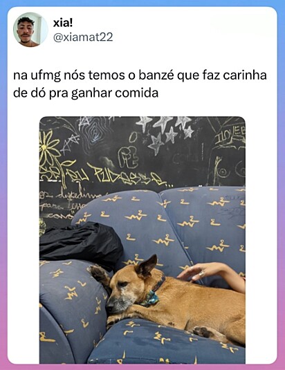 Banzé, mascote da UFMG.