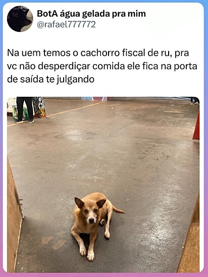 O fiscal do RU, na UEM.