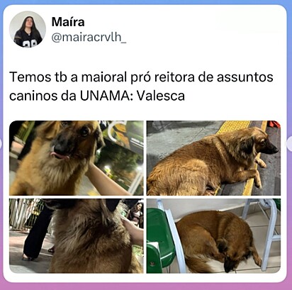 Valesca, mascote da UNAMA.