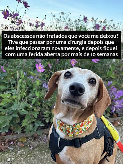 Orange carrega muitos traumas mas descobriu a felicidade.