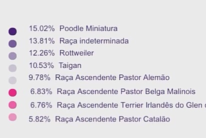 O resultado do primeiro teste genético do cachorro Rogerinho.