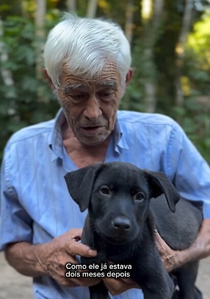 Pepeuzinho com dois meses de idade.