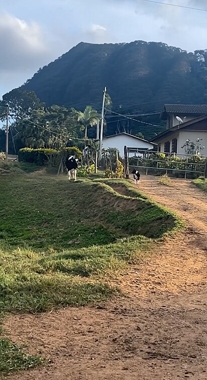 No entanto, o resultado não saiu como o esperado.