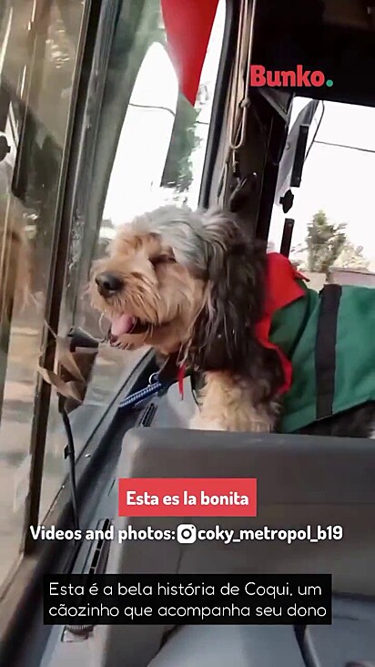 Antonio passou a ler Coki após um trauma de ser assaltado no trabalho.
