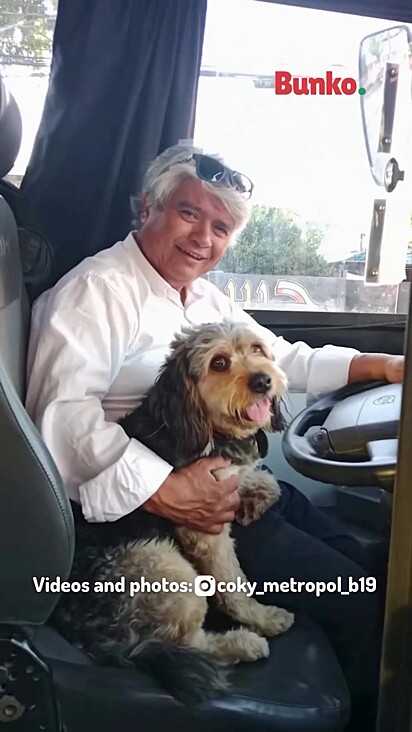 O homem encontrou no animal um motivo para continuar levantando todos os dias.