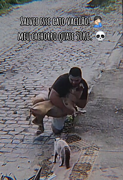 Tom dando a vida para salvar o gatinho.