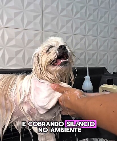 Cherry é exigente e não gosta de barulho durante o banho.