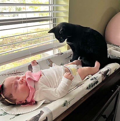 Desde o início a gatinha sabia que a bebê era especial.