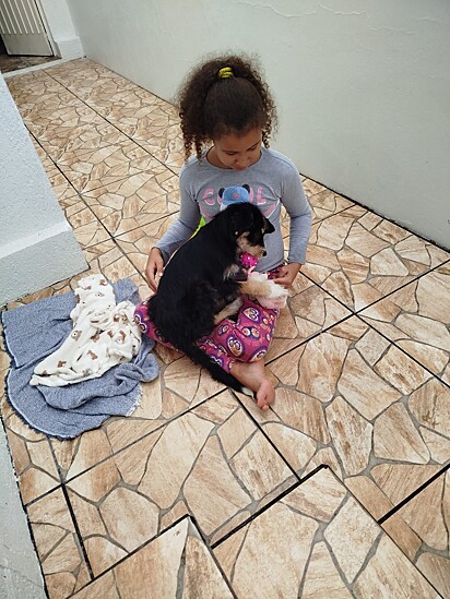 Akira foi adotada e tem atenção dedicada totalmente à ela.