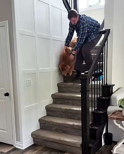 O cachorro precisou de ajuda até para descer as escadas.