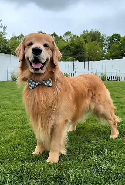 Tucker ainda está se recuperando, mas já está muito melhor.
