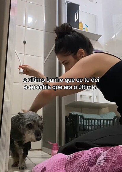 Nicole Gil se despediu do seu cachorrinho de 16 anos que sofria de falência renal.