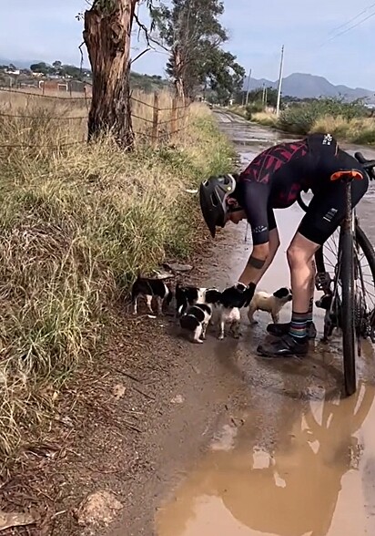 Durante a pedalada, Andrea e Jessy encontraram seis filhotes de cachorro.